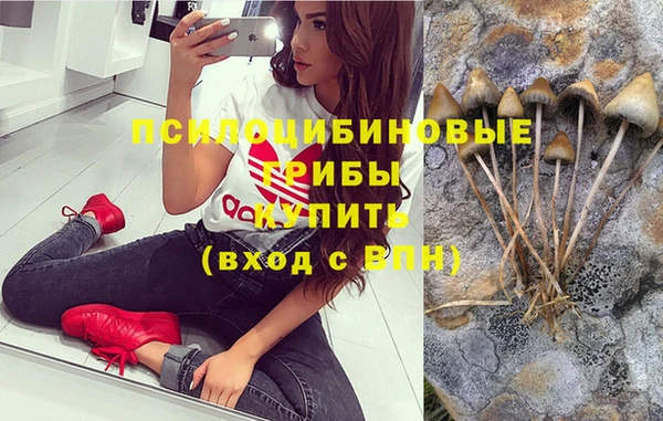 винт Алзамай