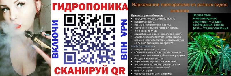 наркотики  hydra как войти  Бошки марихуана THC 21%  Вилючинск 